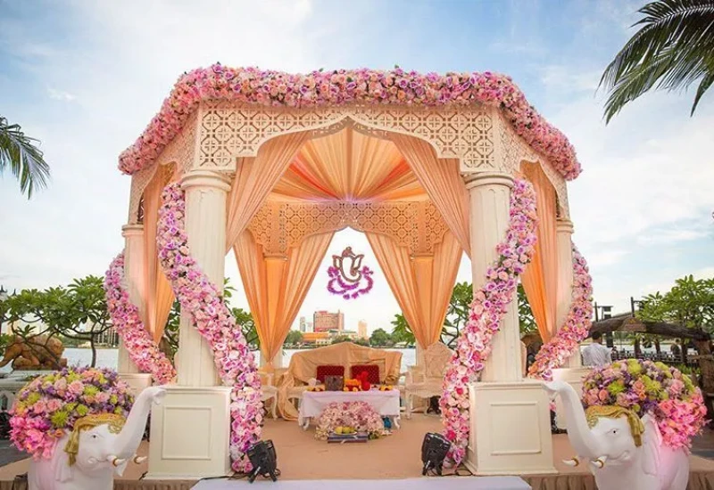 Vandana farms